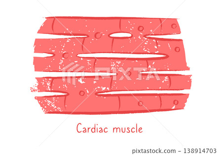 Cells structure sketch 138914703