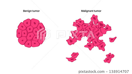 Cells structure sketch 138914707