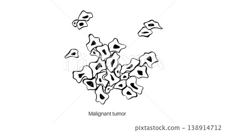 Cells structure sketch Cells structure sketch 138914712