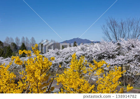 Shibukawa City General Park in Spring, Gunma Prefecture Shibukawa City General Park in Spring, Gunma Prefecture 138914782