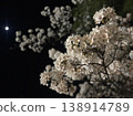 The moon shines brightly in the night sky, creating a beautiful contrast with the cherry blossoms at night on a spring evening. 138914789