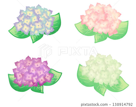 Illustration of hydrangea in watercolor style Illustration of hydrangea in watercolor style 138914792