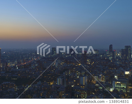 An aerial view of central Tokyo during magic hour. 138914831