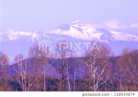 清晨,從白樺林中眺望淺間山。 清晨,從白樺林中眺望淺間山。 138914874