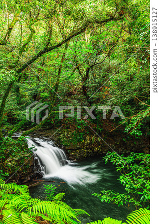 男淵瀑布和女淵瀑佈景色寧靜優美，四周綠樹。 138915127