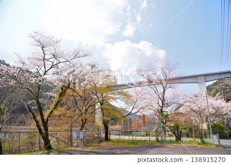 Gifu Prefecture, Ena City: Shinonome Ohashi Bridge (Shin-Shinonome Bridge) over the Kiso River. Gifu Prefecture, Ena City: Shinonome Ohashi Bridge (Shin-Shinonome Bridge) over the Kiso River. 138915270