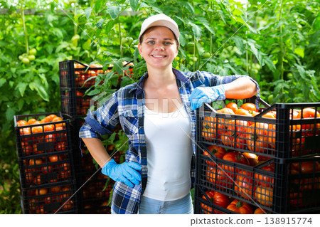 Successful female horticulturist standing in greenhouse near boxes of red tomatoes Successful female horticulturist standing in greenhouse near boxes of red tomatoes 138915774
