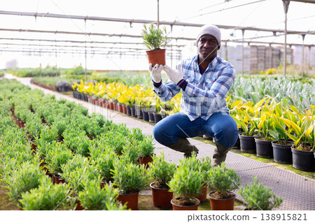 Man gardener holding green seedlings in pot 138915821