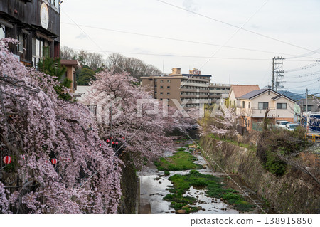 有馬川沿岸的櫻花美景 有馬川沿岸的櫻花美景 138915850