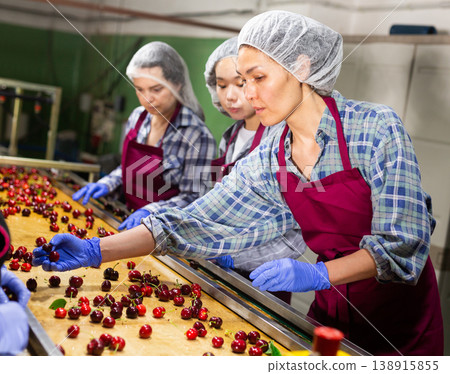Women working on producing sorting line at fruit warehouse Women working on producing sorting line at fruit warehouse 138915855