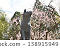 A lovely splash of color that heralds spring ~The reclining plum tree at Fujikawa Tenjin Shrine~ 138915949