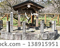 A lovely splash of color that heralds spring ~The reclining plum tree at Fujikawa Tenjin Shrine~ 138915951