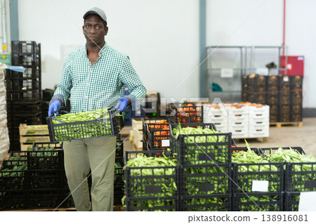 Loader dragging boxes of beans in vegetable processing factory Loader dragging boxes of beans in vegetable processing factory 138916081
