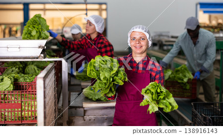 Portrait of positive woman vegetable factory worker with lettuce 138916143