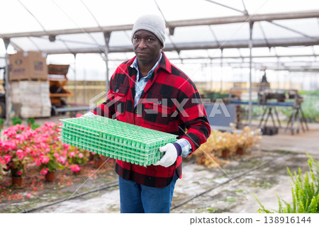 Farmer holding seed trays for seedlings in glasshouse Farmer holding seed trays for seedlings in glasshouse 138916144