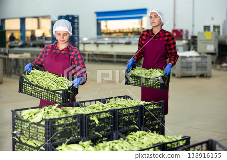 Women working in vegetable warehouse 138916155
