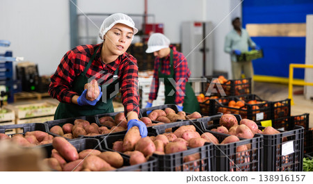 Warehouse worker checks the quality of harvested potato crop 138916157