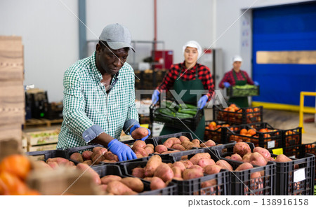 Hired food warehouse worker checks quality of the harvested potato crop Hired food warehouse worker checks quality of the harvested potato crop 138916158