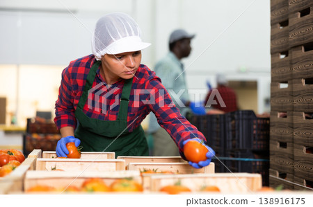 Woman in apron evaluating quality of vegetables in storage Woman in apron evaluating quality of vegetables in storage 138916175