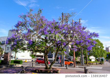 Blue-purple flowers stand out against the blue sky 138916407