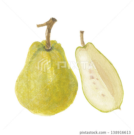 Guava painted in watercolor Guava painted in watercolor 138916613