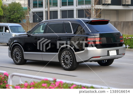 Domestic SUV vehicle image 138916654