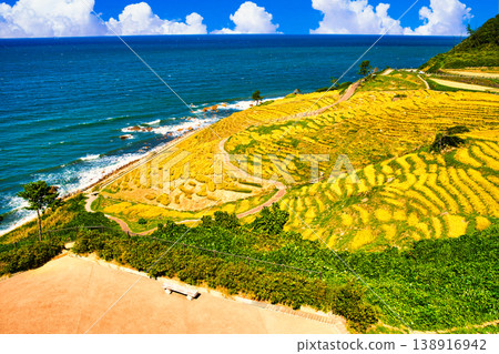 Autumn terraced rice fields of Shiroyone Senmaida with clouds composite image Autumn terraced rice fields of Shiroyone Senmaida with clouds composite image 138916942