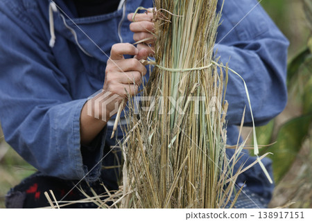 A woman tying rice straw 138917151