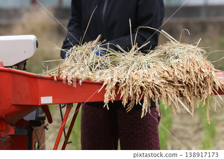 Threshing Threshing 138917173