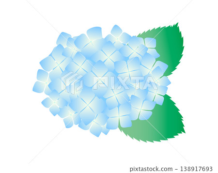 一幅清新怡人的藍色繡球花插圖 138917693