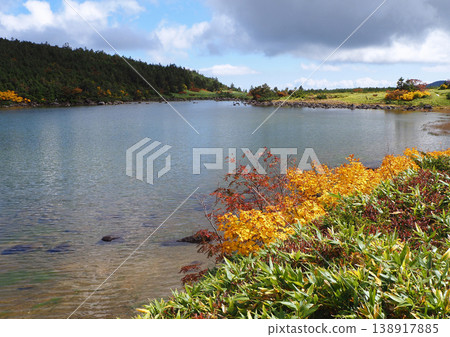 Autumn at Kamanuma Lake in Fukushima Prefecture. The blue sky is reflected on the water's surface, creating a beautiful and striking contrast with the yellow autumn leaves. 138917885