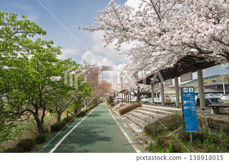 Tsukuba Kasumigaura Rinrin Road, Tsukuba Rest Area, Cherry Blossoms, Spring in Japan Tsukuba Kasumigaura Rinrin Road, Tsukuba Rest Area, Cherry Blossoms, Spring in Japan 138918015