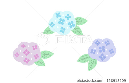 一組色彩柔和的簡約繡球花插圖。 一組色彩柔和的簡約繡球花插圖。 138918209