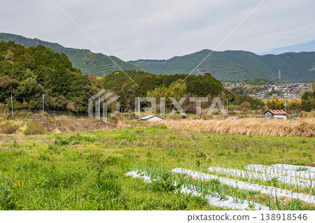 Rural landscape of Ogi, Otsu City, Shiga Prefecture Rural landscape of Ogi, Otsu City, Shiga Prefecture 138918546