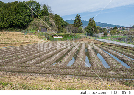 滋賀縣大津市荻町的鄉村景色 138918566