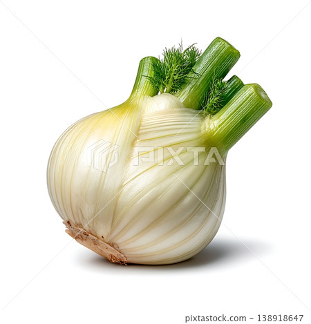 Fresh Fennel Bulb with Green Fronds on a White Background for Culinary Inspiration 138918647