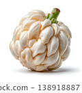 Unique and Unusual White Cabbage with a Distinctive Curved Shape and Smooth Surface Texture 138918887