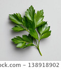 Fresh Green Parsley Leaves on Gray Background for Culinary and Health Concepts 138918902