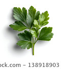 Fresh Green Parsley Leaf on White Background with Natural Shadows for Culinary Use 138918903