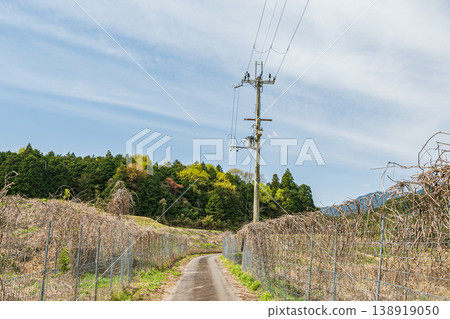 Scenery of Ogi, Otsu City, Shiga Prefecture 138919050