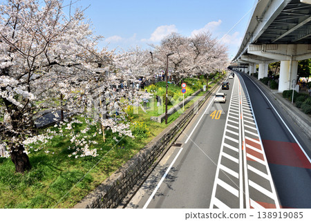 隅田通和首都高速公路沿著隅田川而建,那裡櫻花盛開。 隅田通和首都高速公路沿著隅田川而建,那裡櫻花盛開。 138919085
