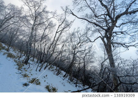 赤城山積雪覆蓋的登山路線及週邊地區 赤城山積雪覆蓋的登山路線及週邊地區 138919309