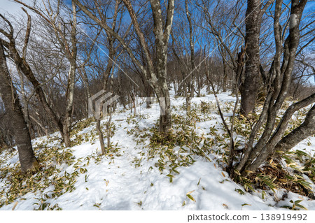赤城山積雪覆蓋的登山路線及週邊地區 赤城山積雪覆蓋的登山路線及週邊地區 138919492