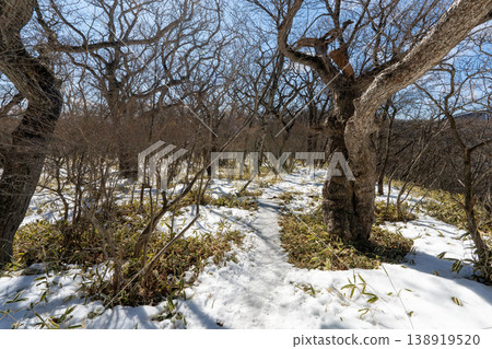 Snow-covered Mt. Akagi climbing routes and surrounding areas Snow-covered Mt. Akagi climbing routes and surrounding areas 138919520