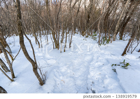 赤城山積雪覆蓋的登山路線及週邊地區 赤城山積雪覆蓋的登山路線及週邊地區 138919579