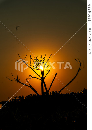 太陽雄偉地探出頭來 太陽雄偉地探出頭來 138919729