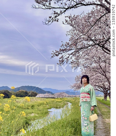 身著和服的人們在河岸邊欣賞櫻花。 138919742