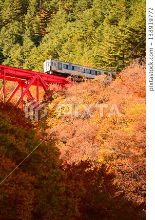 JR Kamaishi Line Onigazawa Bridge and KiHa 100 series diesel railcar JR Kamaishi Line Onigazawa Bridge and KiHa 100 series diesel railcar 138919772