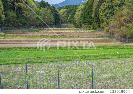 滋賀縣大津市荻町的梯田 138919994