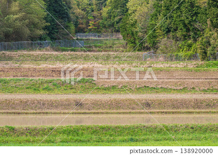 Terraced rice fields in Ogi, Otsu City, Shiga Prefecture 138920000
